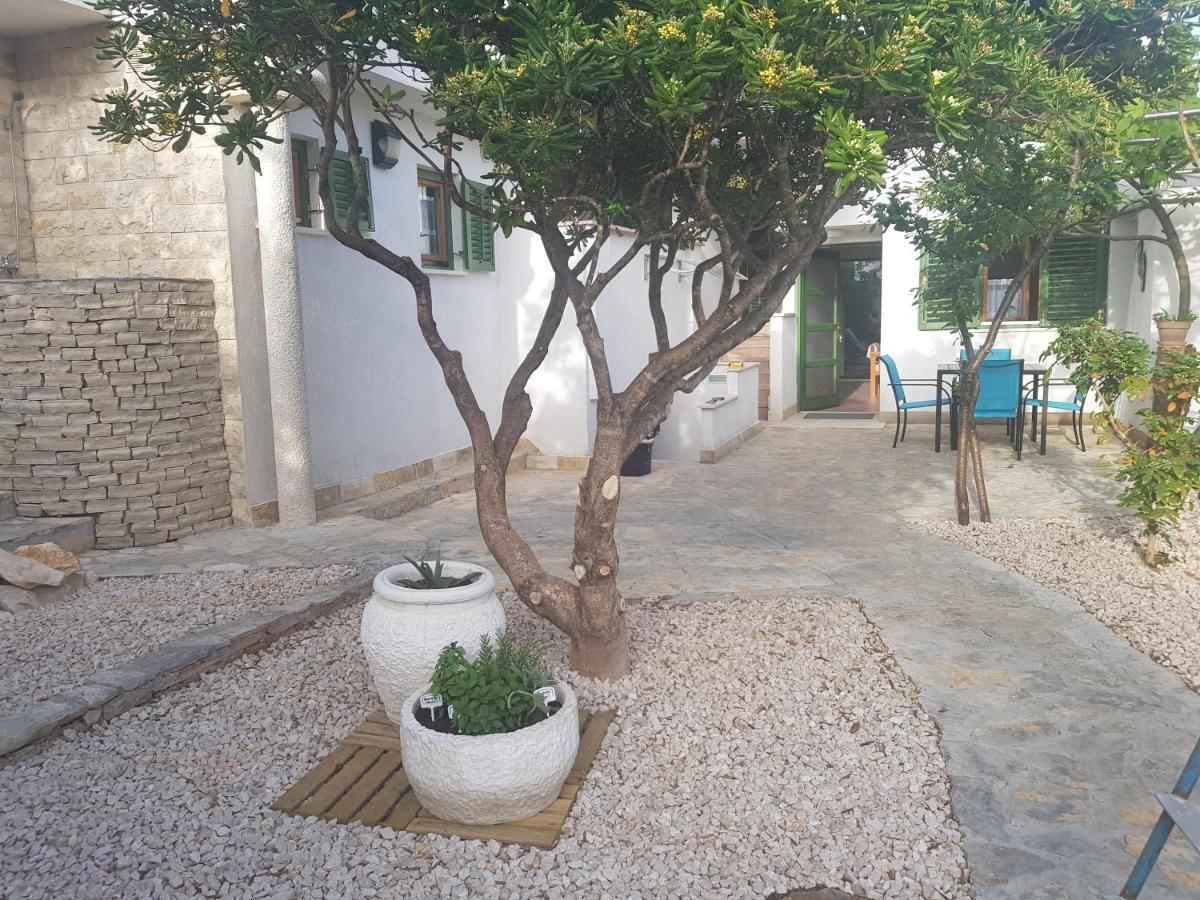 Apartments Summer Touch Petrčane Dış mekan fotoğraf