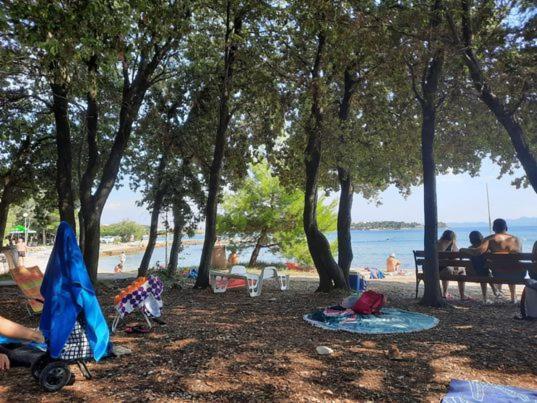 Apartments Summer Touch Petrčane Dış mekan fotoğraf